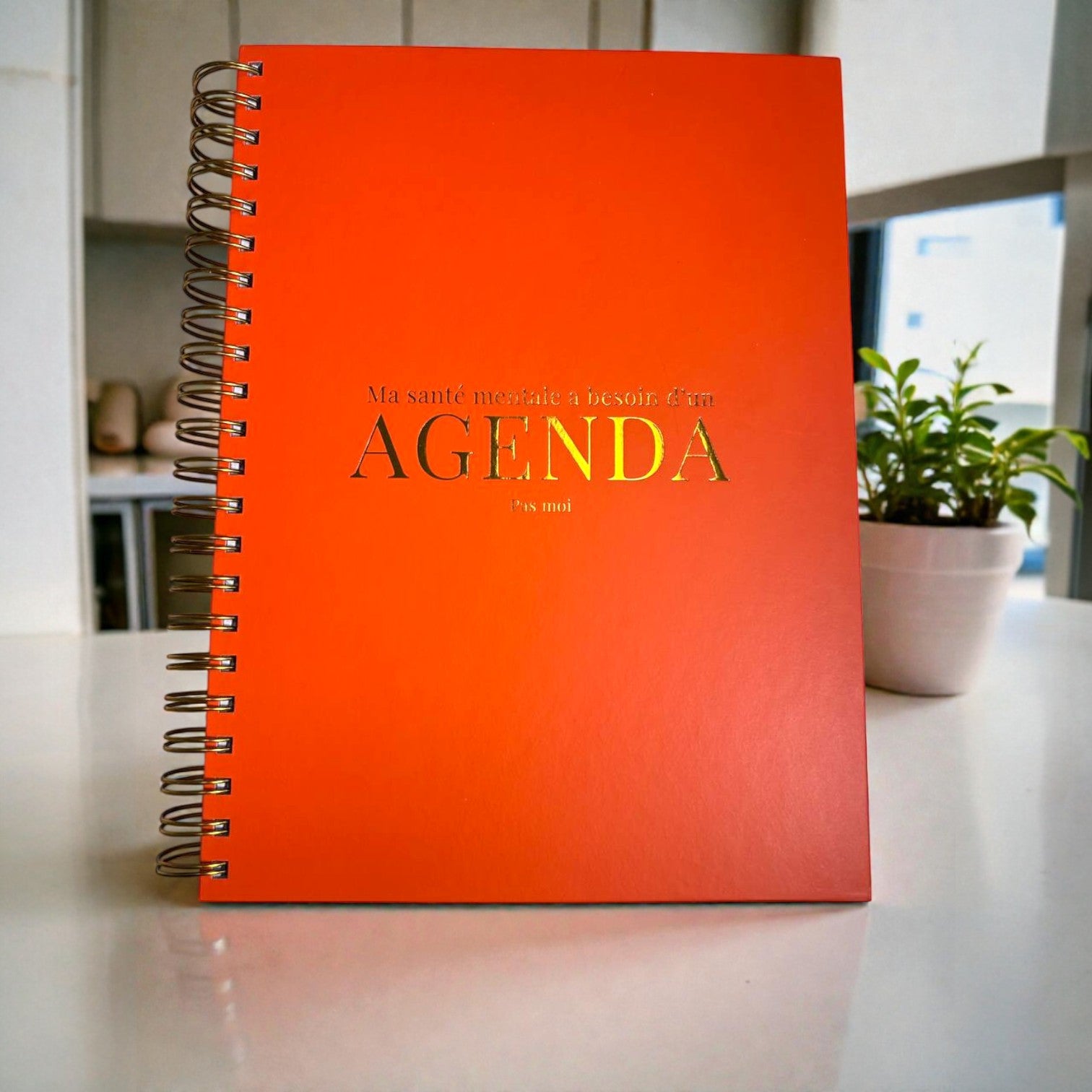 Agenda Thérapeutique MI