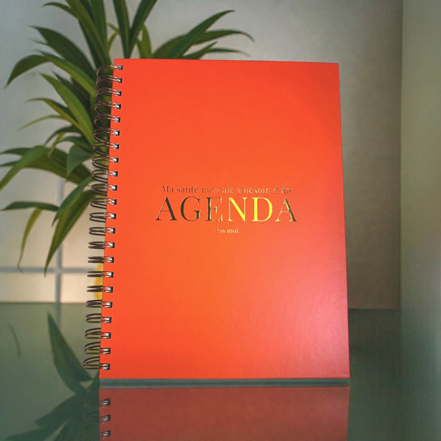 Agenda de soutien psychosocial