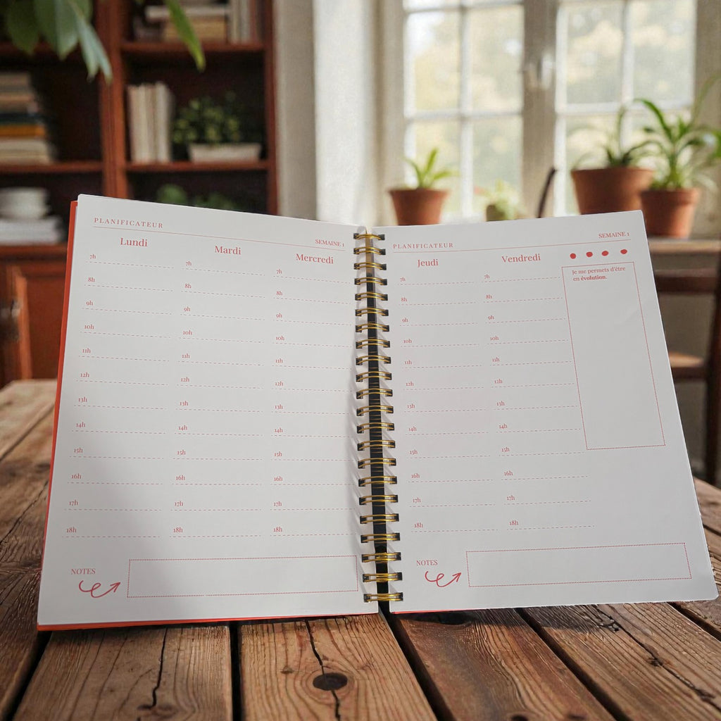 Agenda de soutien psychosocial