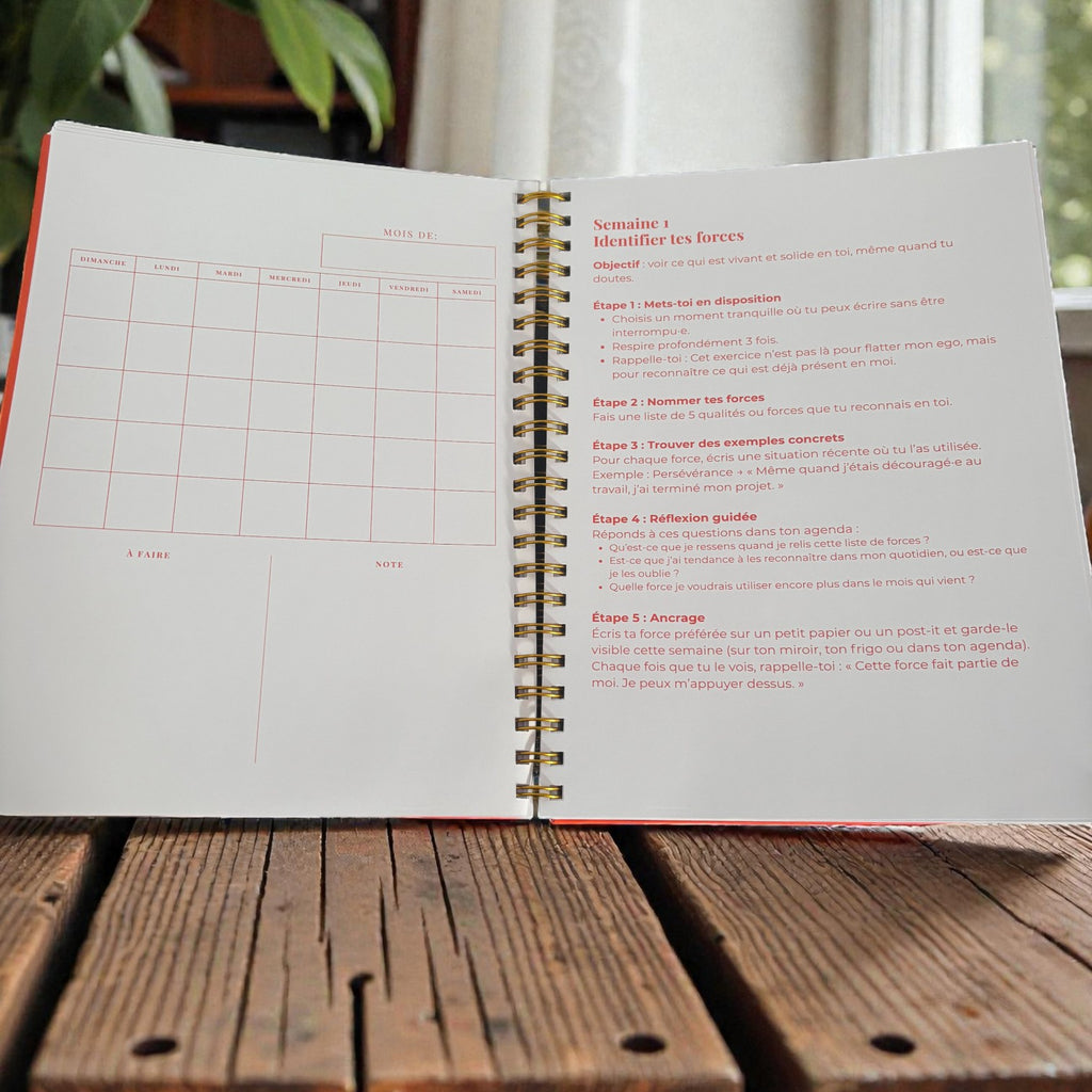 Agenda de soutien psychosocial