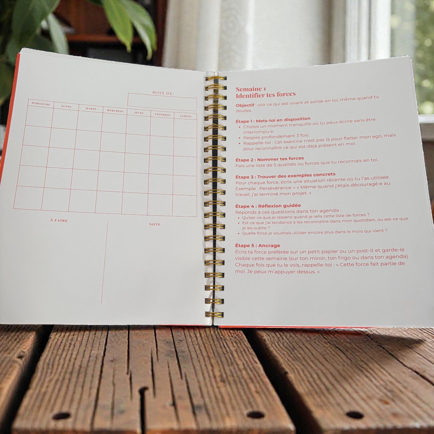 Agenda de soutien psychosocial